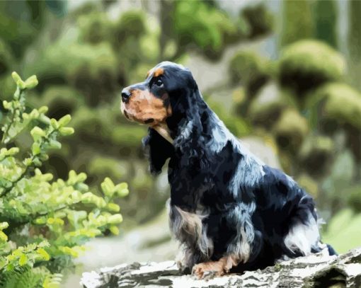 Aesthetic Black English Cocker Spaniel paint by numbers