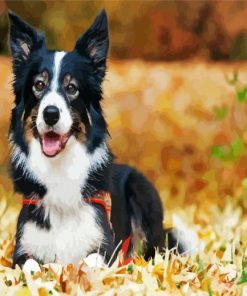 Aesthetic Border Collie In Fall Leaves paint by numbers