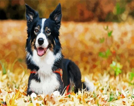 Aesthetic Border Collie In Fall Leaves paint by numbers