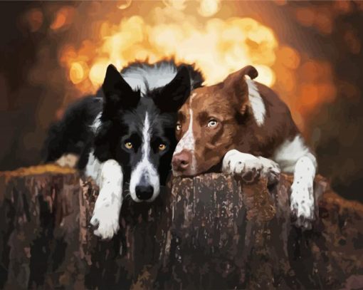 Cute Brown And Black Collies Animals paint by numbers