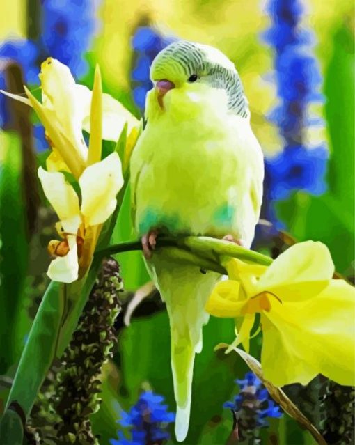 Budgerigar Green Bird paint by numbers