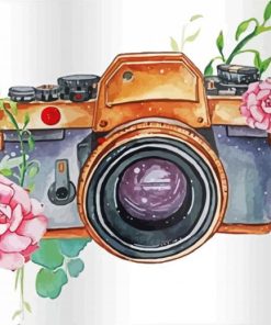 Aesthetic Flowers And Camera Art paint by numbers