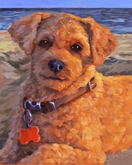 Cute Golden Cockapoo Puppy paint by numbers