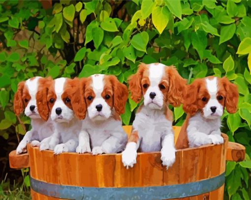 Cute King Charles Spaniel Puppies paint by numbers