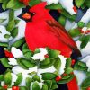 Cute Red Cardinal Bird paint by numbers