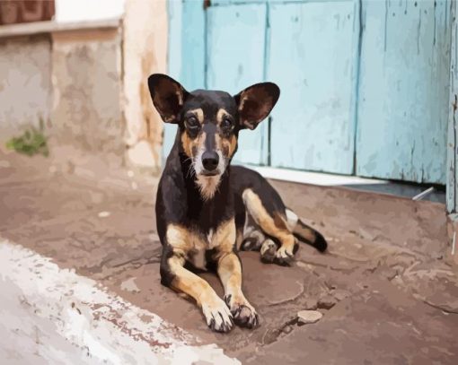 Cute Street Dog paint by numbers