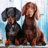 Two Dachshund Dogs paint by numbers