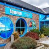 dingle oceanworld aquarium paint by number