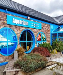 dingle oceanworld aquarium paint by number