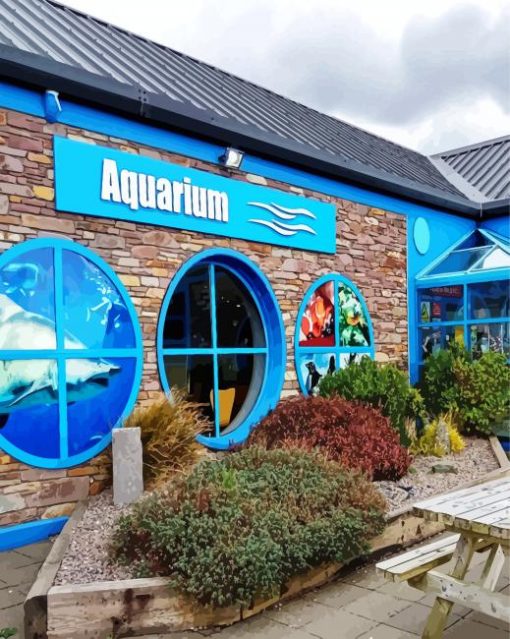 dingle oceanworld aquarium paint by number