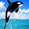 Aesthetic Killer Whale paint by numbers