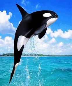 Aesthetic Killer Whale paint by numbers