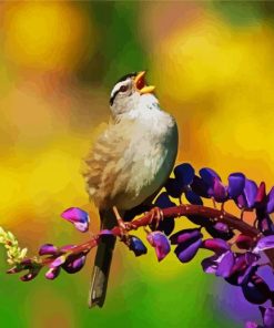 Lonely Brown Sparrow paint by numbers