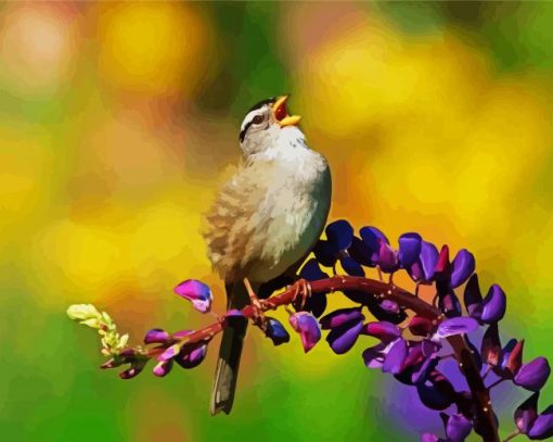 Lonely Brown Sparrow paint by numbers