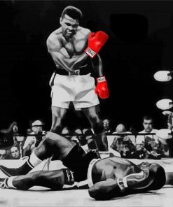 Muhammad Ali Fighter paint by numbers