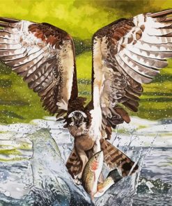 Osprey Catching Fish paint by numbers