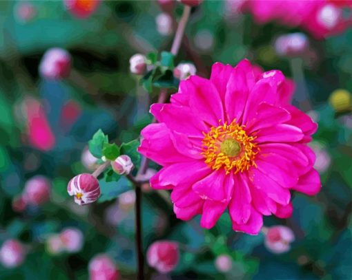 Adorable Pink Anemone Flower paint by numbers
