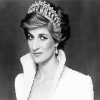 Princess Diana Black And White paint by numbers