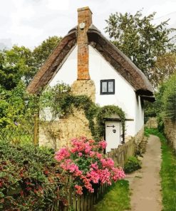 Small Cottage paint by numbers