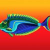 Tropical Fish paint by number