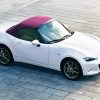 White Mazda Mx 5 Miata Car paint by numbers