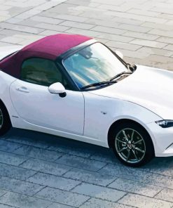 White Mazda Mx 5 Miata Car paint by numbers