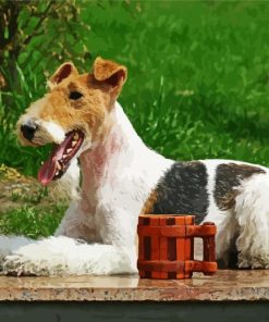 Wire Fox Terrier Animal paint by numbers