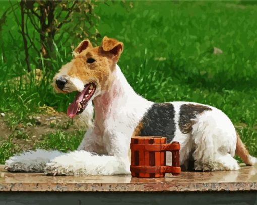 Wire Fox Terrier Animal paint by numbers