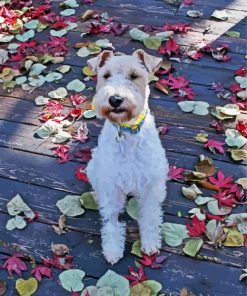 Wire Fox Terrier Dog paint by numbers