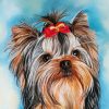 Cute Yorkie Puppy Animal paint by numbers