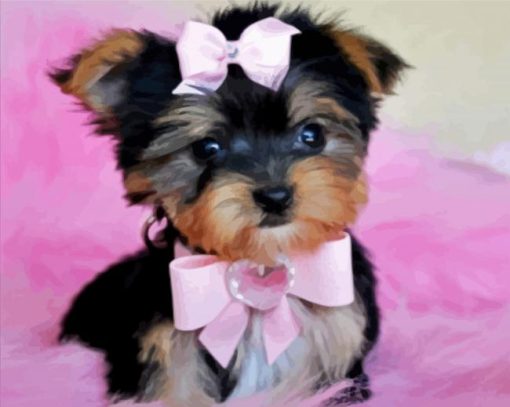 Adorable Yorkie Puppy paint by numbers