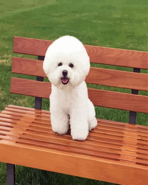 Cute Bichon Frise paint by number