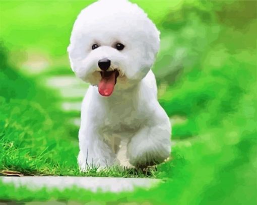 Cute Bichon Puppy paint by number