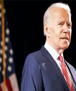 Joe Biden President paint by number