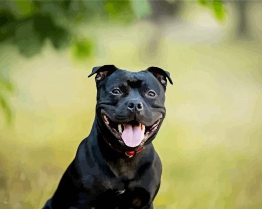 Cute Staffy Puppy paint by numbers