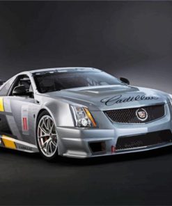 Grey CTS V CAR paint by number