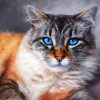 Cute Cat Pastel Art paint by numbers