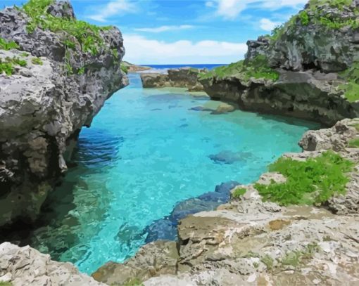 Niue Island paint by numbers