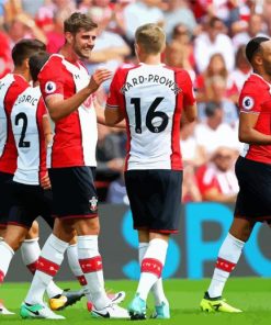 Southampton Fc Players paint by numbers