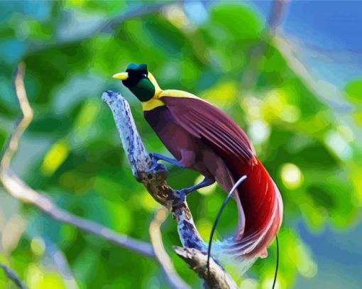 Birds Paradise paint by numbers