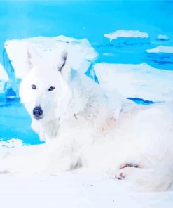 White Beautiful Ice Wolf paint by numbers