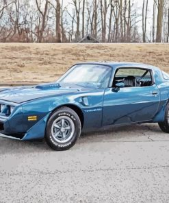 1979 Blue Pontiac Firebird Car paint by numbers