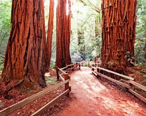 California Redwoods paint by numbers