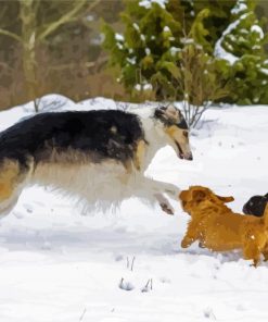 Cute Borzoi Dogs paint by numbers