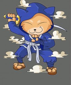 Cute Ninja Cat paint by numbers