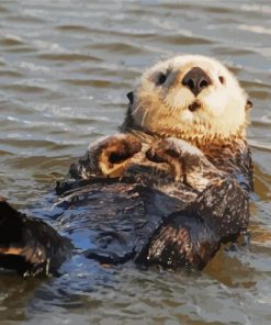 Cute Otter Swiming paint by numbers