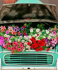 Flowers And Car paint by numbers