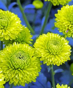 Green Flowers paint by numbers