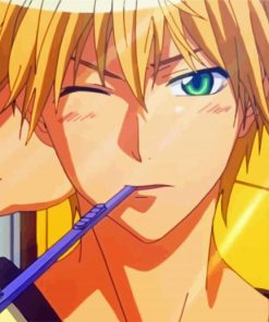 Kaichou Wa Maid Sama Takumi Usui paint by numbers