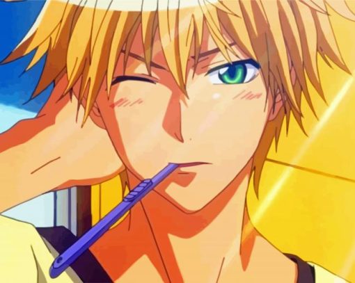 Kaichou Wa Maid Sama Takumi Usui paint by numbers